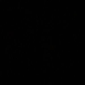 Meet your Posher, Calvin